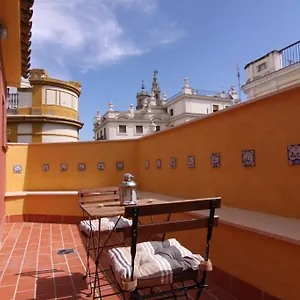 Living Catedral Siviglia